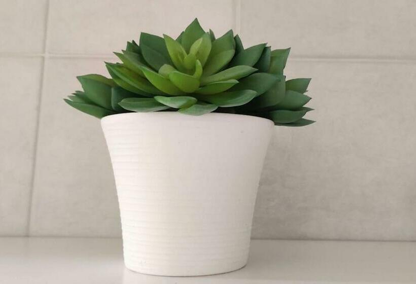 Kaunis Ja Tilava Kaksio