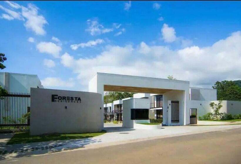 New! A Little Piece Of Pura Vida   Casa Yara