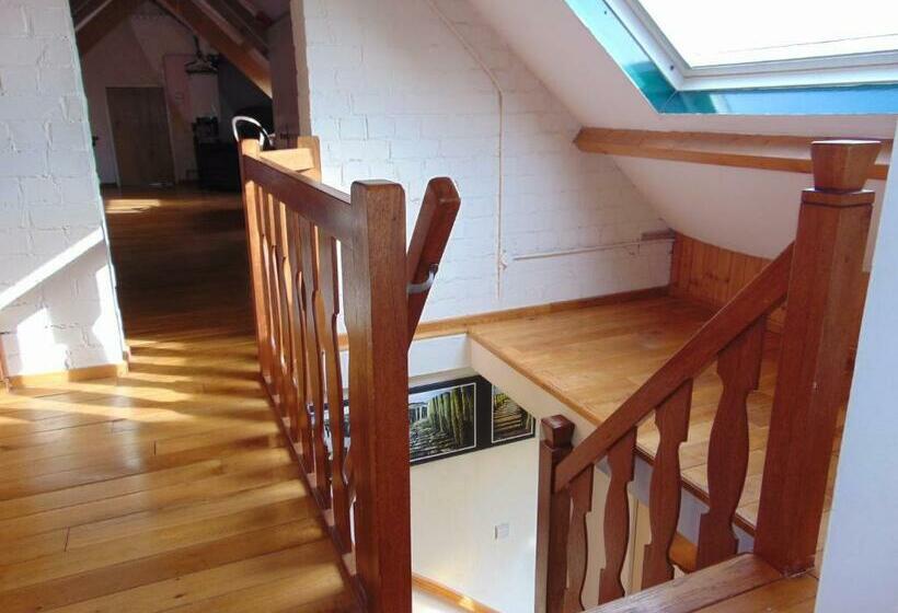 Polderhuis Voor 8 10 Personen Aan Zee