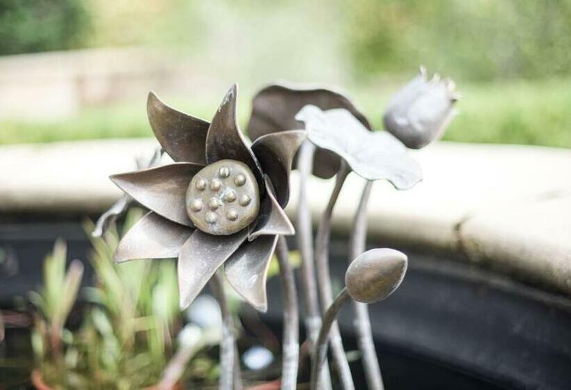 Rural Apartment With Stunning Views!