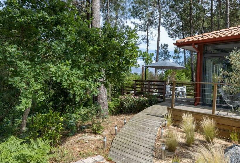 Bousquet Villa Vue Exceptionnelle