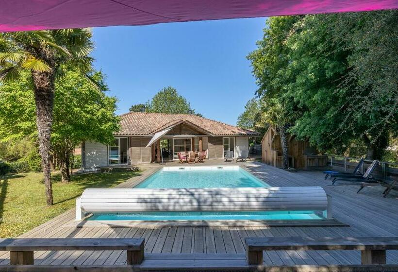 Care Villa T4 Avec Piscine