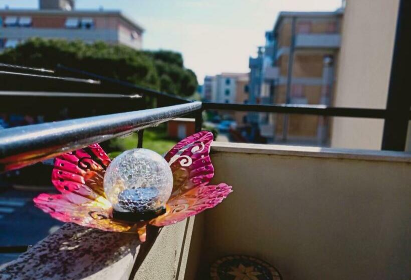 Casa Ilanfra   Appartamenti Gabbiano, Farfalla E Stella Marina