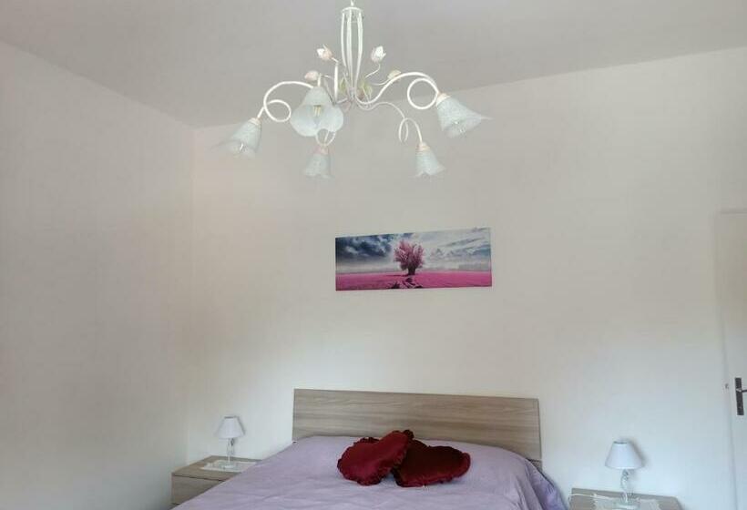 Casa Ilanfra Appartamenti Gabbiano, Farfalla E Stella Marina