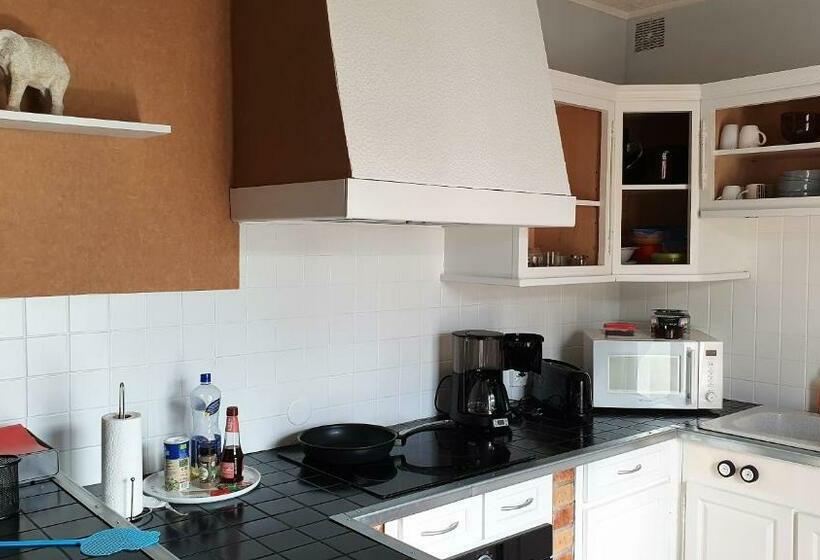 Maison Terrasse Jardin Sans Vis à Vis Parking Animaux Acceptes