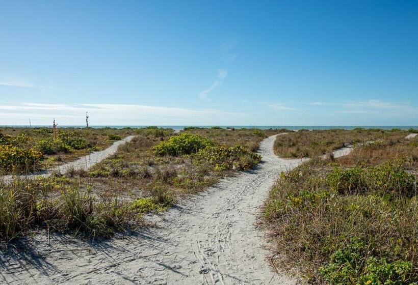 Mimis Happy Beach Blessing