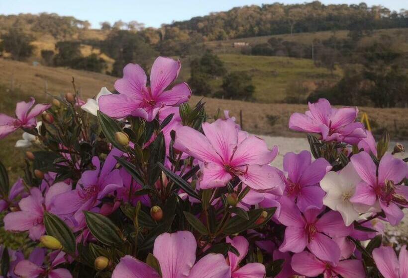Sítio No Interior De Sp Para Curtir A Natureza