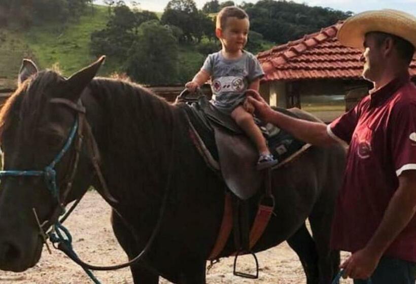 Sítio No Interior De Sp Para Curtir A Natureza