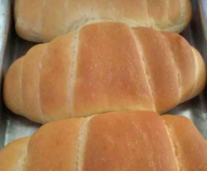 Sítio No Interior De Sp Para Curtir A Natureza