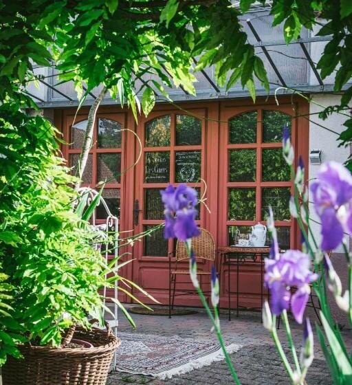 V I O L E T T E La Souris Des Champs