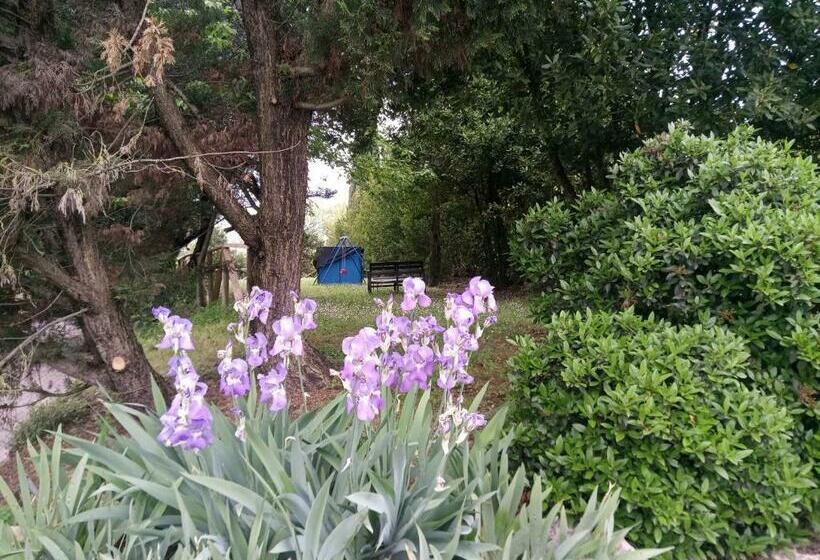 Agriturismo La Fornace Di Rossi Stefano