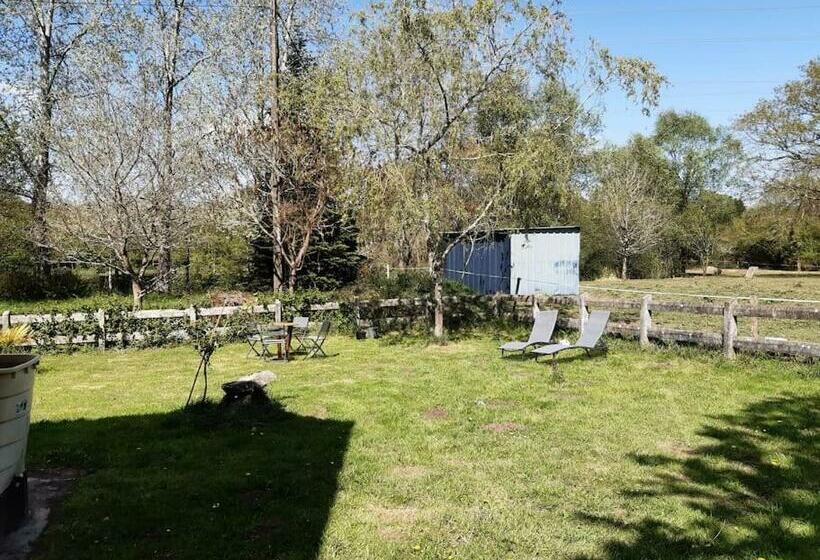 Appartement En Lisière De Forêt Avec étang