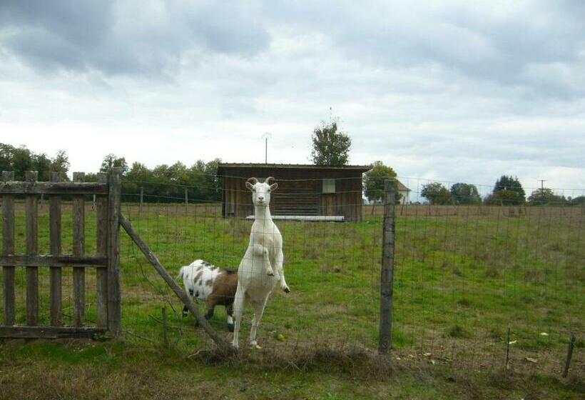Appartement Le Domaine Des Libellules Proche Walibi