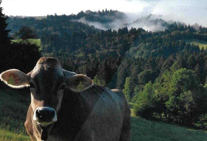 Fewo Allgäuphorie, Oberreute