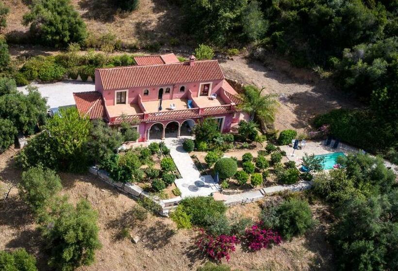 Finca Olivar