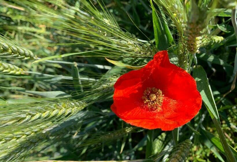 Gîtes De Charme Le Bibendôme Et Les Mots Bleus En Pleine Forêt