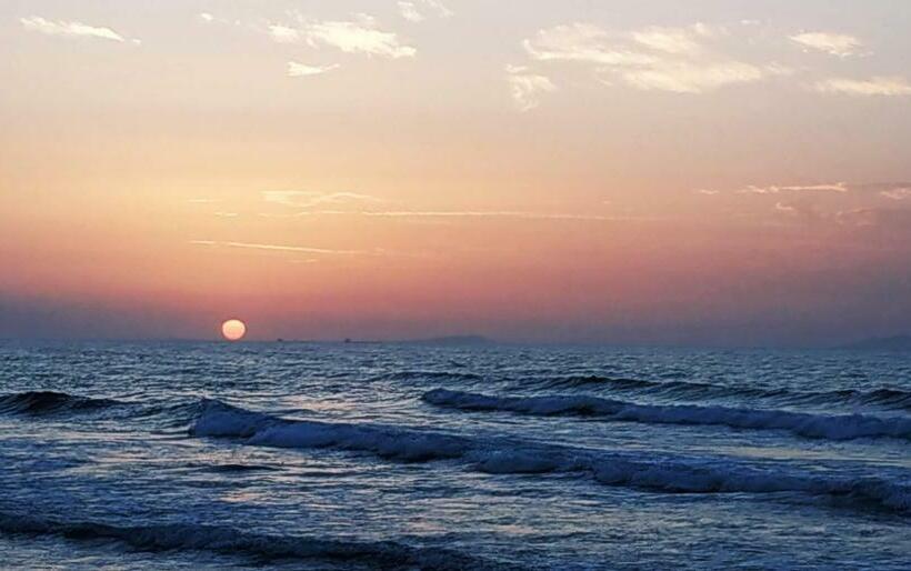 Il Ginepro E La Lantana