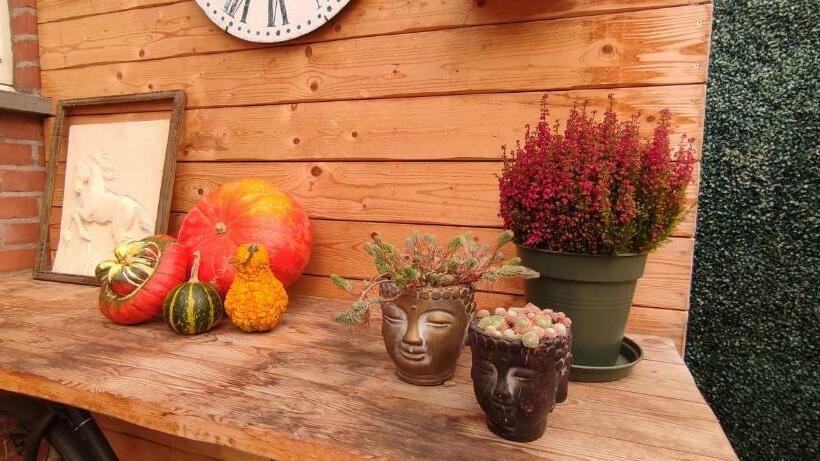 Kind & Diervriendelijk Huisje