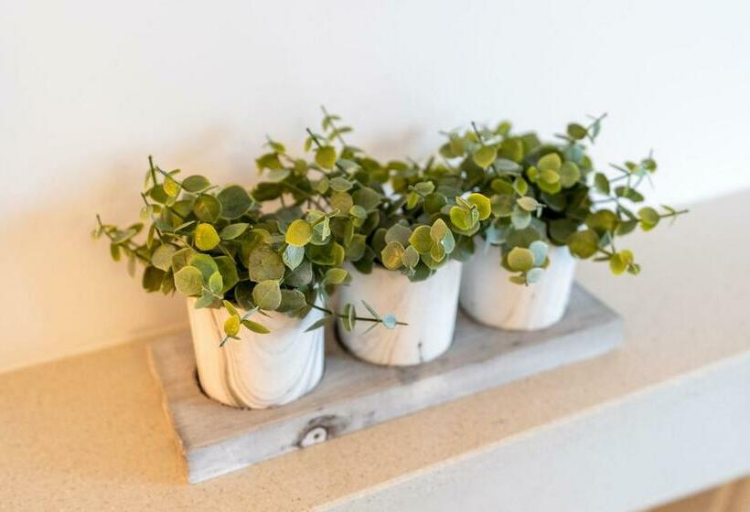 Large Family Property & Central Location & Free Parking