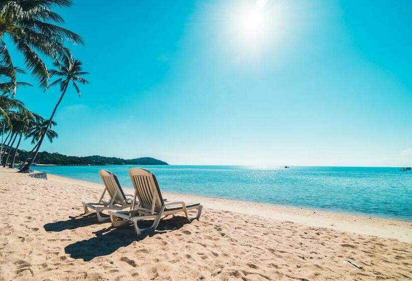 Moderno, Compacto E Com Piscina