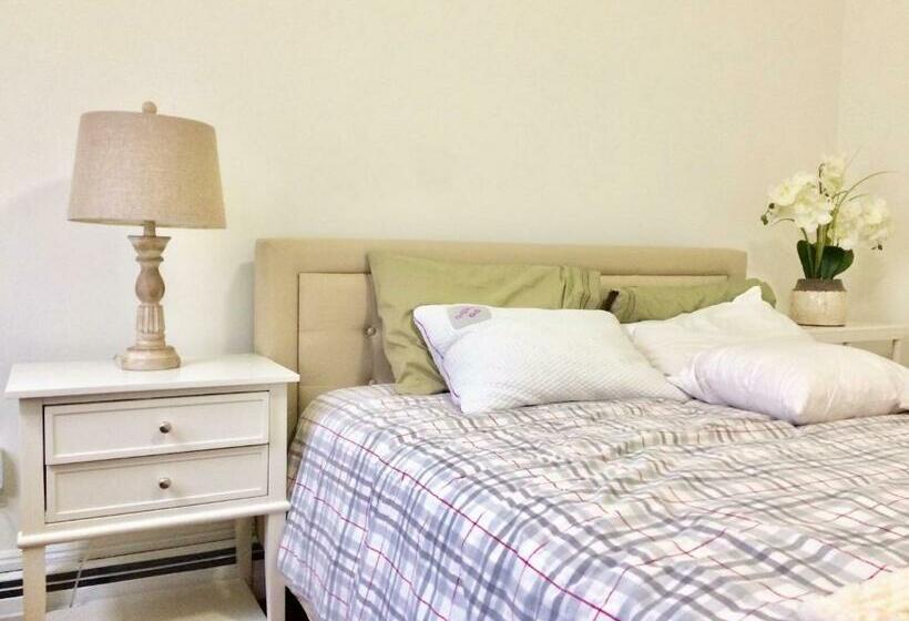 Shared Comfortable Apartment At Harvard Mit