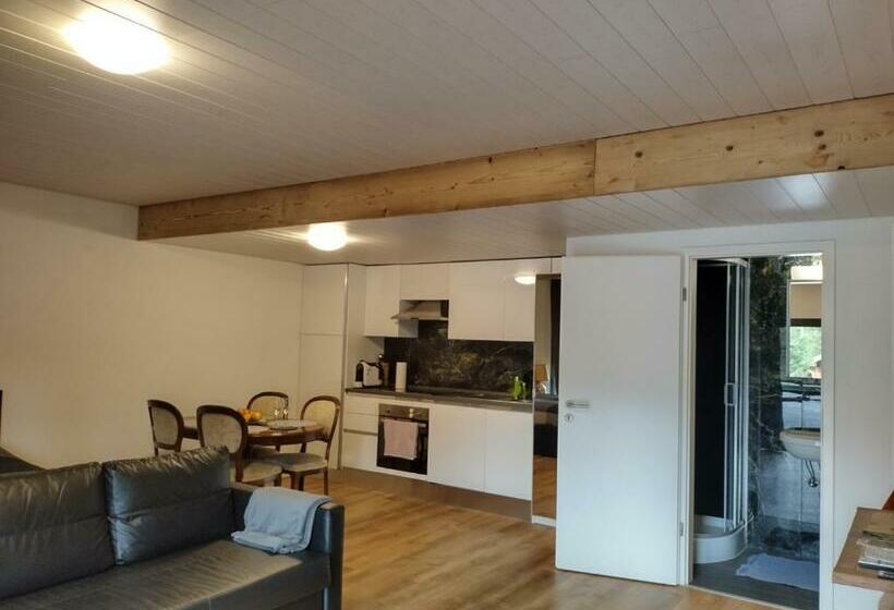 Spacieux Studio 38m2 Avec Sauna