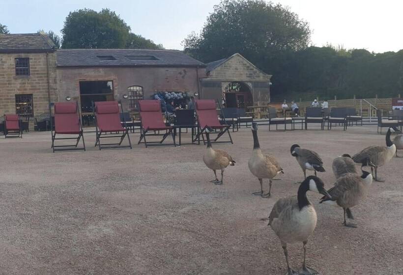 Sparks Family Suite In Canalside Guesthouse