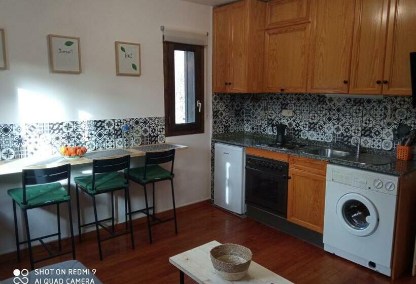 Estudio Las Perseidas   Vall De Boí