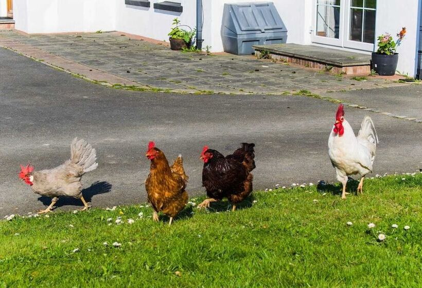 The Heights & Hollows Farmhouse, Saul, Downpatrick, Sleeps 14