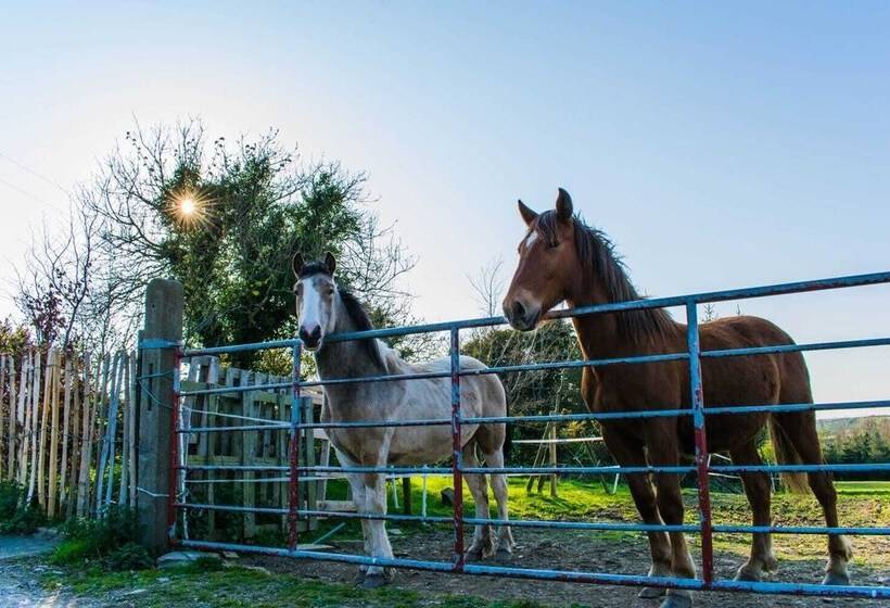 The Heights & Hollows Farmhouse, Saul, Downpatrick, Sleeps 14