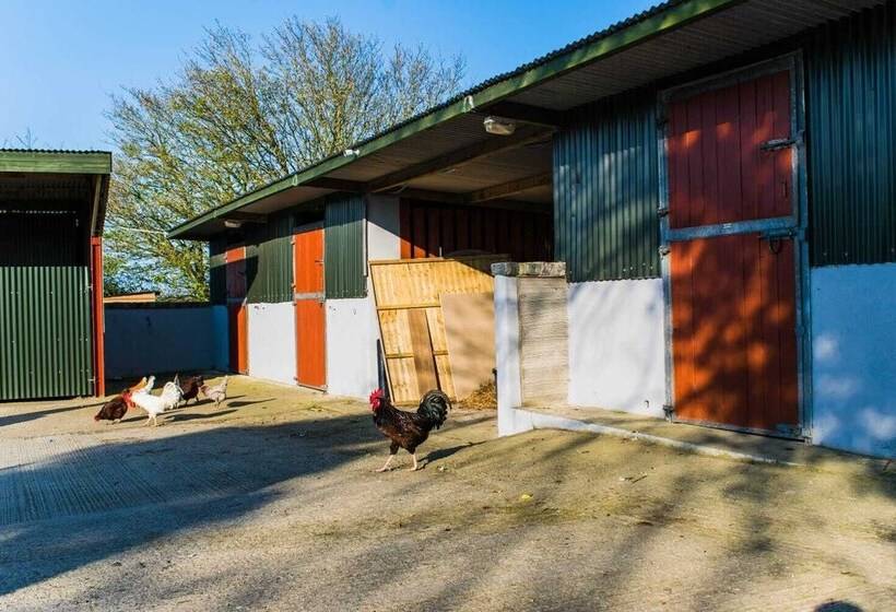 The Heights & Hollows Farmhouse, Saul, Downpatrick, Sleeps 14