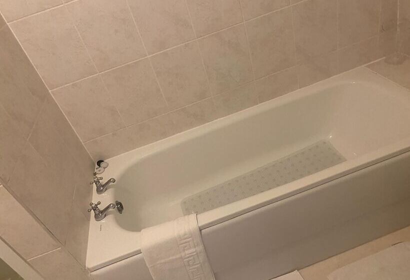 Lovely Large London Apartment