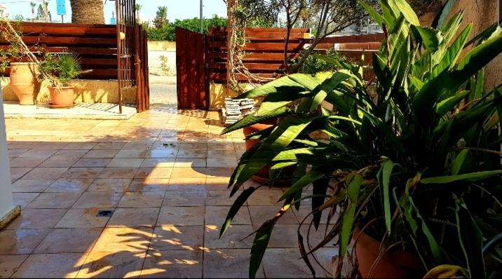 Palm Beach Apartment