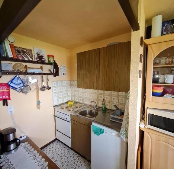 Panorama, Appartement 34, Torgon Schweiz