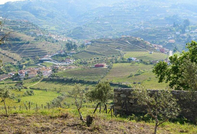 Quinta Dos Padrinhos Suites In The Heart Of The Douro