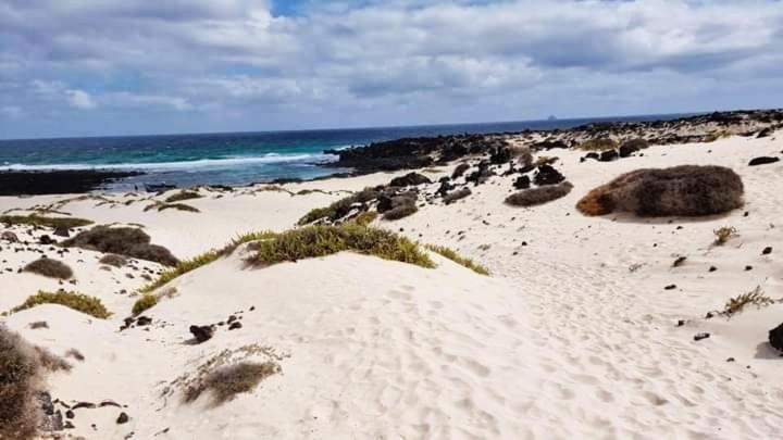 Apartment Vincent, Cozy And Sunny Over The Rooftops