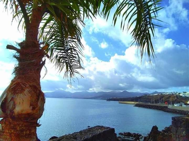 Apartment Vincent, Cozy And Sunny Over The Rooftops