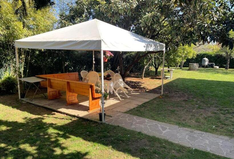 Appartamento In Villa Con Giardino Vicino Al Mare