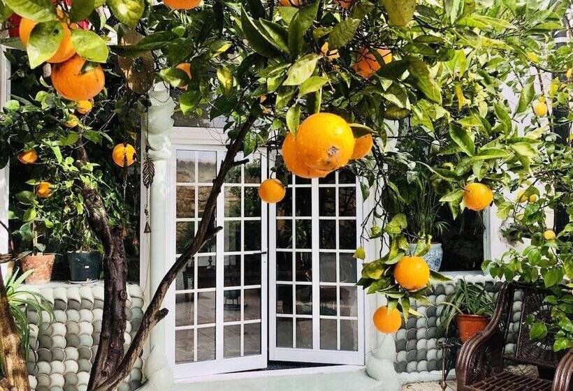 Beautiful Small House In Algarve Portugal