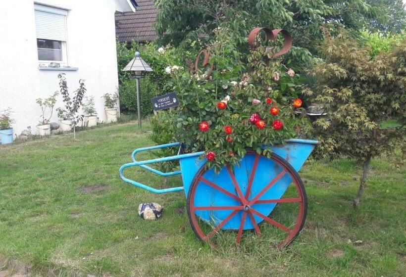 Ferienbungalow Fewo Eutin Süsel Sierksdorf Strand Ostsee