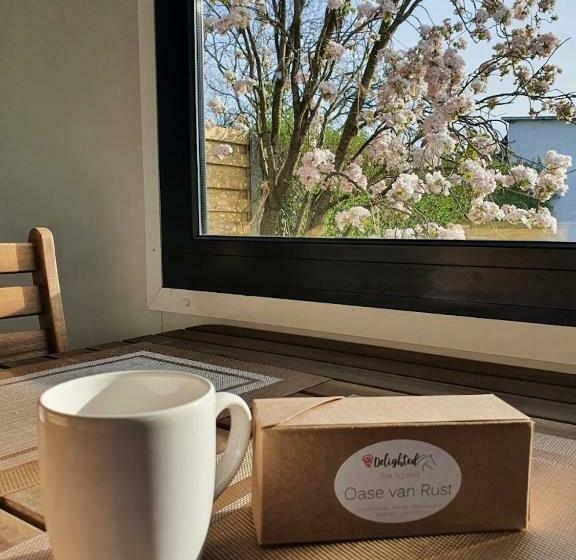 Houten Huisje Tussen Paarden