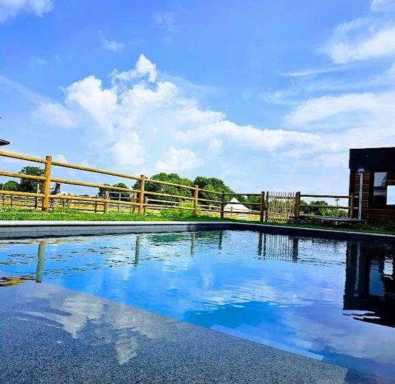 Houten Huisje Tussen Paarden