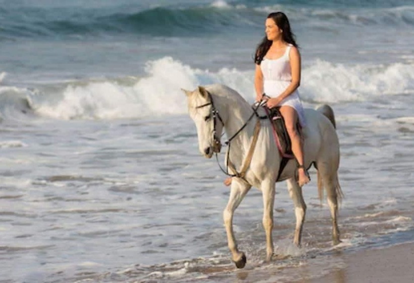 Lighthouse Point Residences