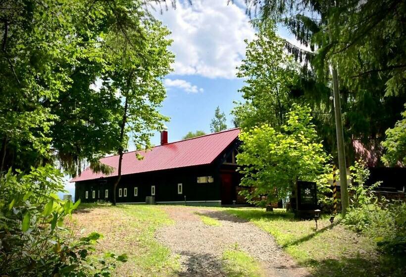 N Vacation   Vacation Stay 46575v