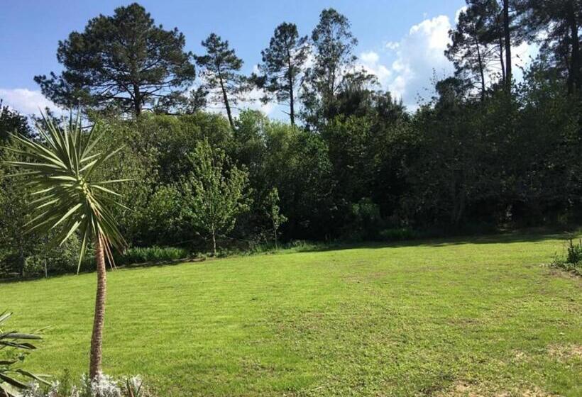 Santiago By The Sea, Entre Mar Y Campo