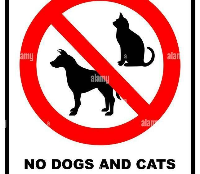 Villa Mauro Ribadeo Apartamento Turístico