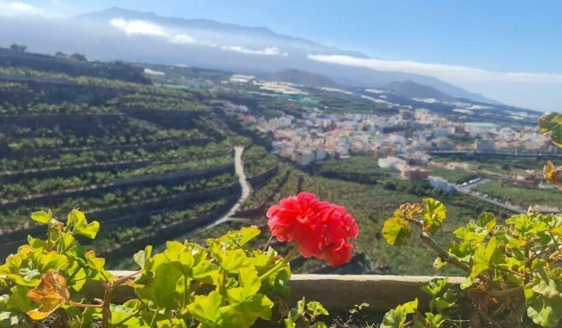 Vivienda Vacacional Los Geranios Tazacorte
