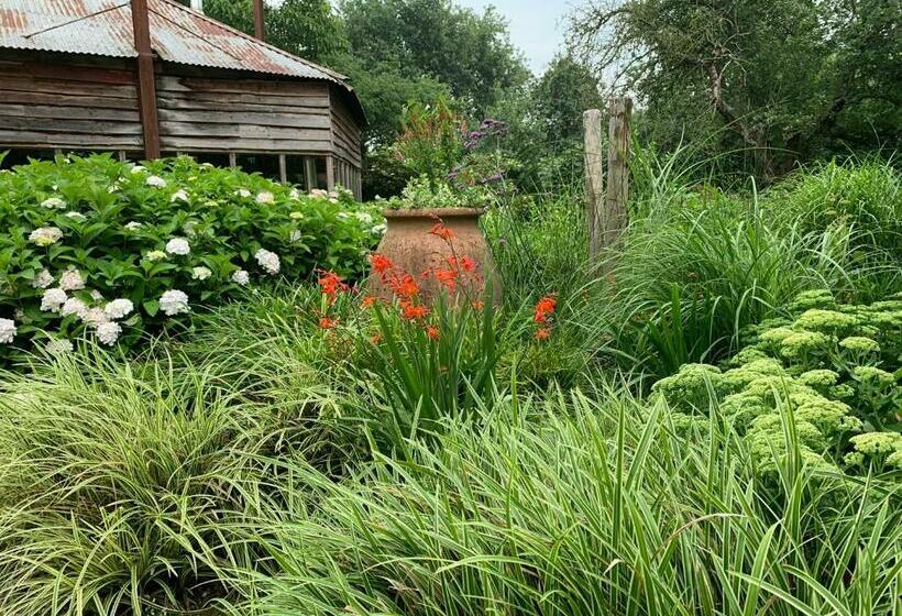 Atelier Onder De Notenboom