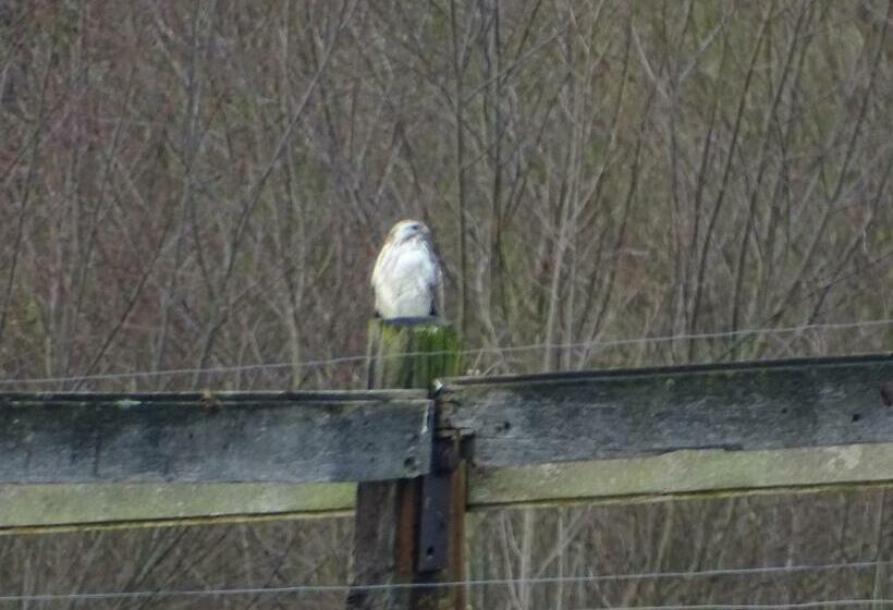 Au Coeur Des Collines, Charmette