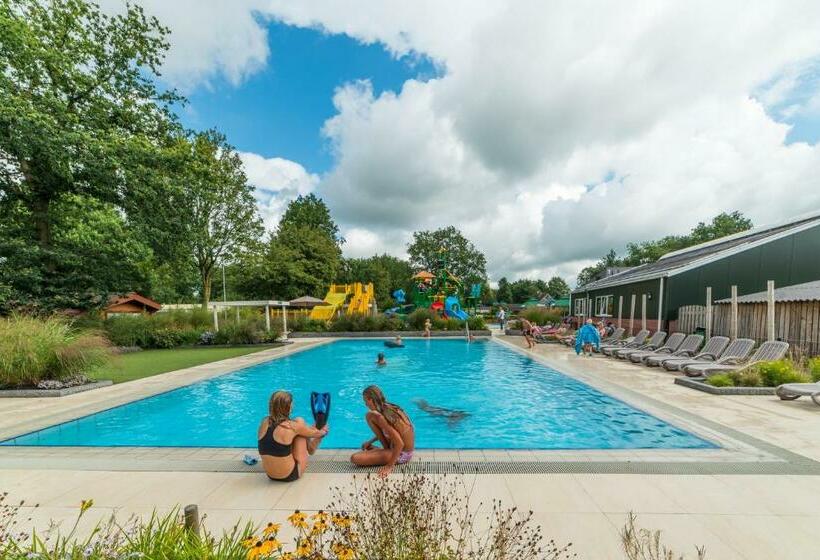 Camping De Pallegarste   Voor Uw Vakantiebestemming!